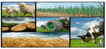 Грант на підтримку аграрного сектору та харчового виробництва в Україні