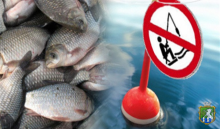 Про заборону вилову риби, інших водних біоресурсів у весняно-літній період 2022 року