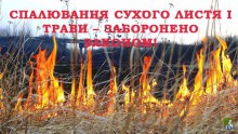 Спалювання сухого листя та трави – заборонено!