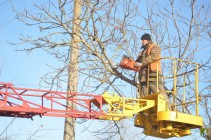 Правила безпеки під час виконання робіт з обрізання дерев